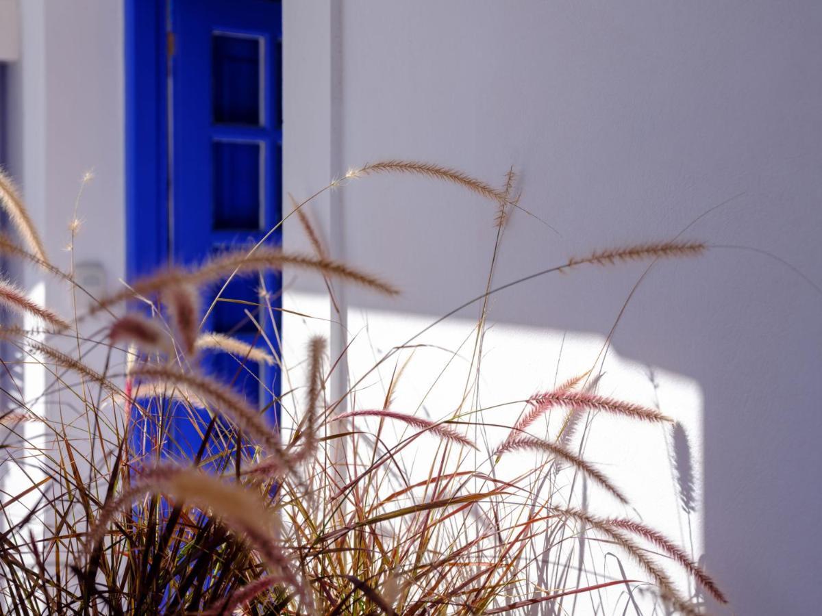 Appartement Casa Di Magi à Fira  Extérieur photo
